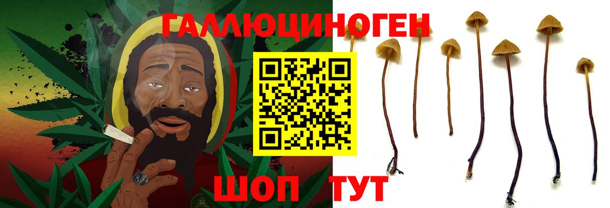 Галлюциногенные грибы Magic Shrooms  Псилоцибиновые грибы прущие грибы  Вход с VPN  Щёлково 